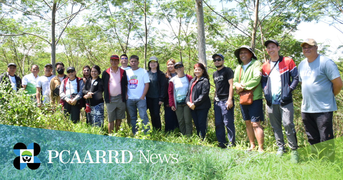 DOST-PCAARRD bolsters Mindanao industrial tree plantations industry through project review and sequel project workshop